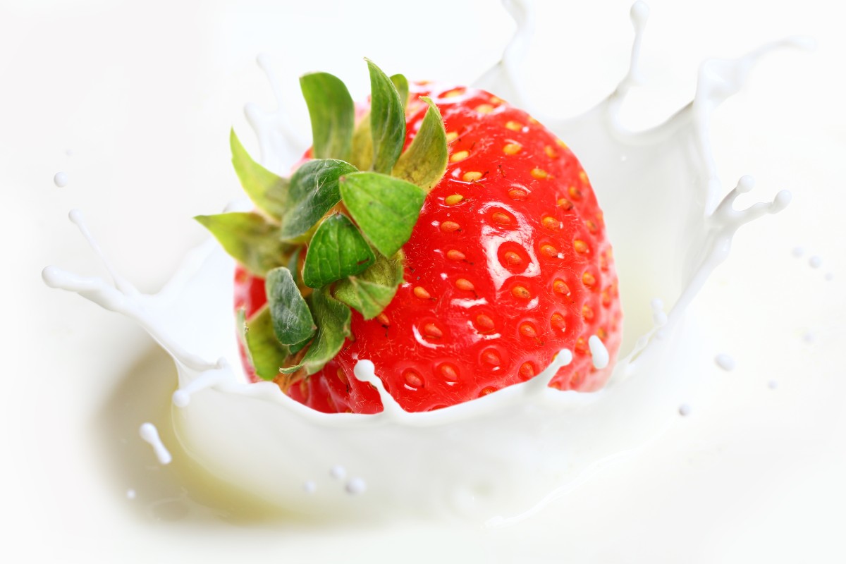 Read more about the article Mauris sit amet pharetra